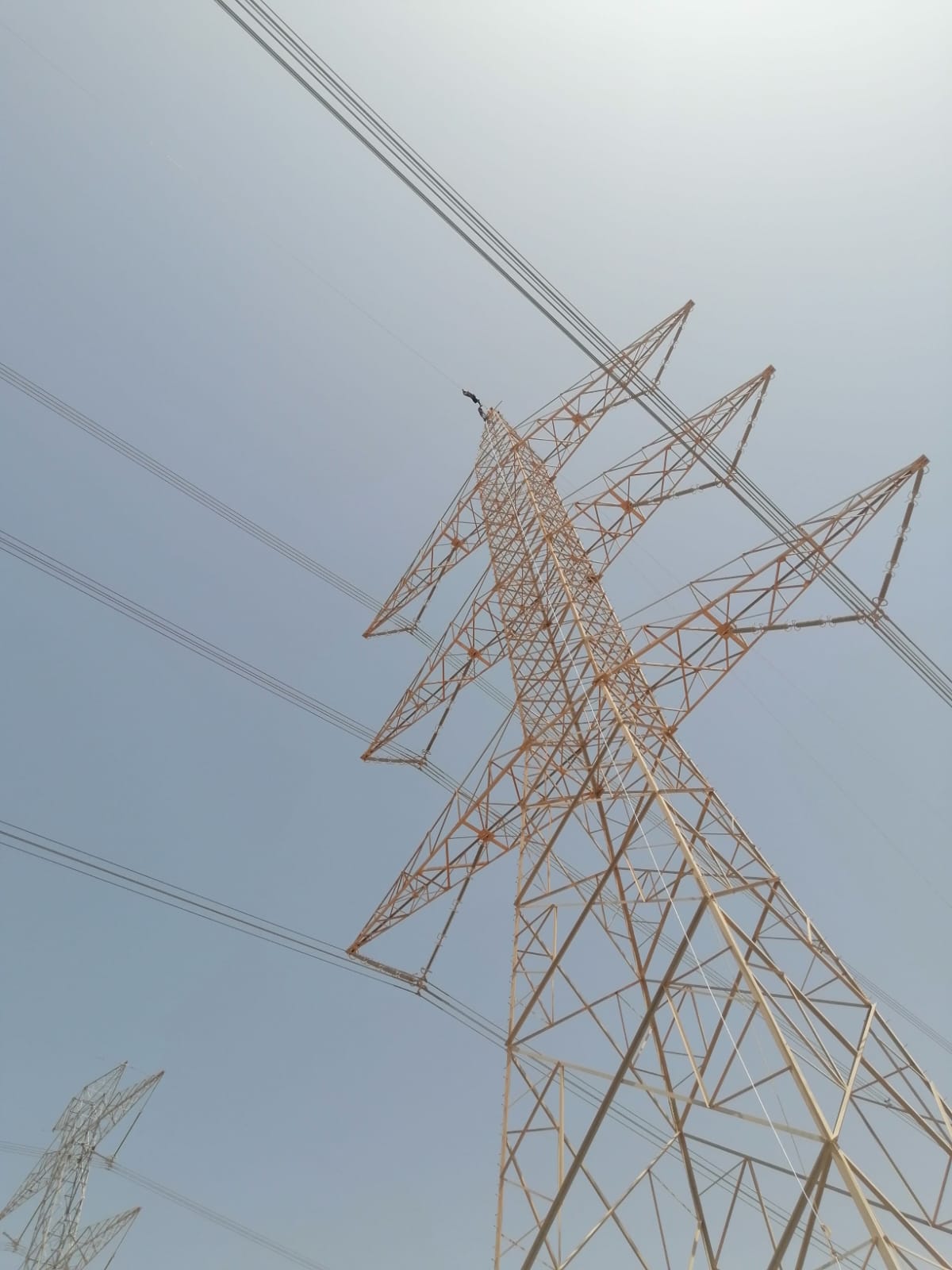 TOWER LINE TRANSMISSIONS